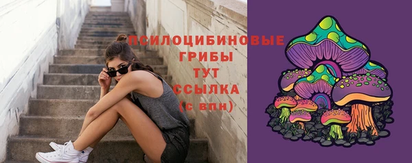 гидра Алзамай