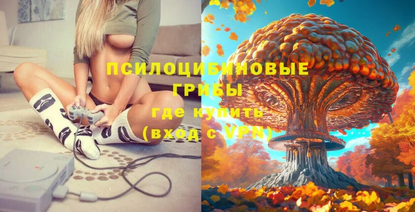 МДМА Алексеевка