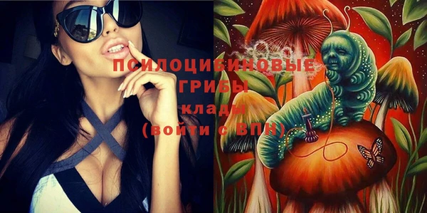 гидра Алзамай
